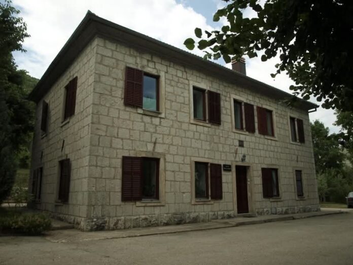časne - kongora