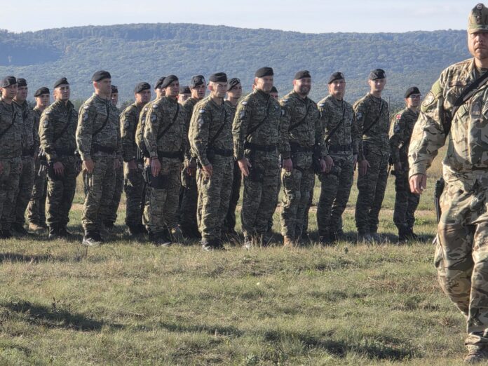 vojska